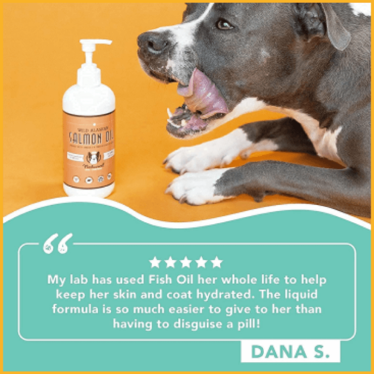 How To Structure Your Amazon Image Gallery For Maximum Conversion